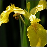DSCN0052.JPG